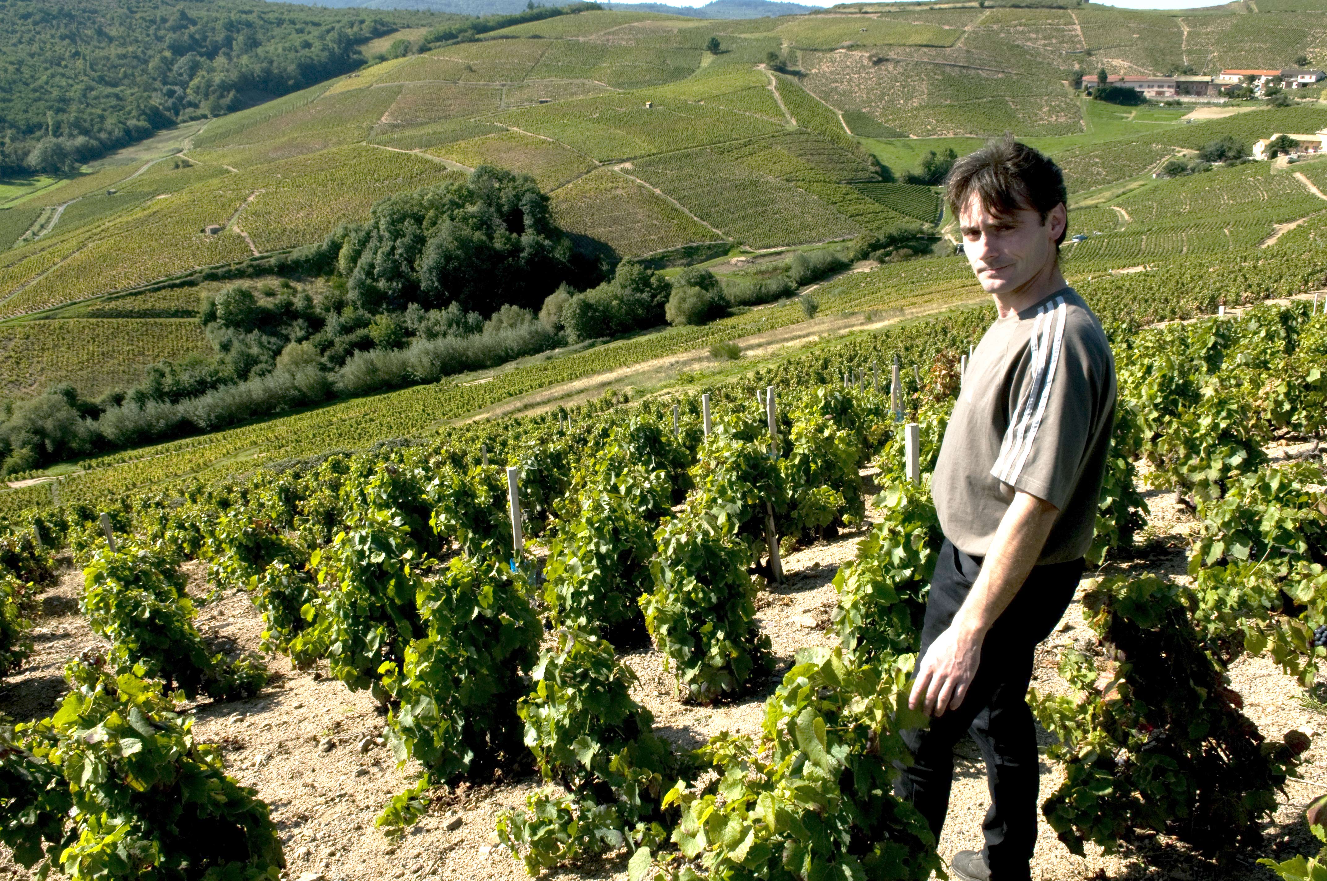 AVIRON BEAUJOLAIS-BETTER LATE THAN NEVER